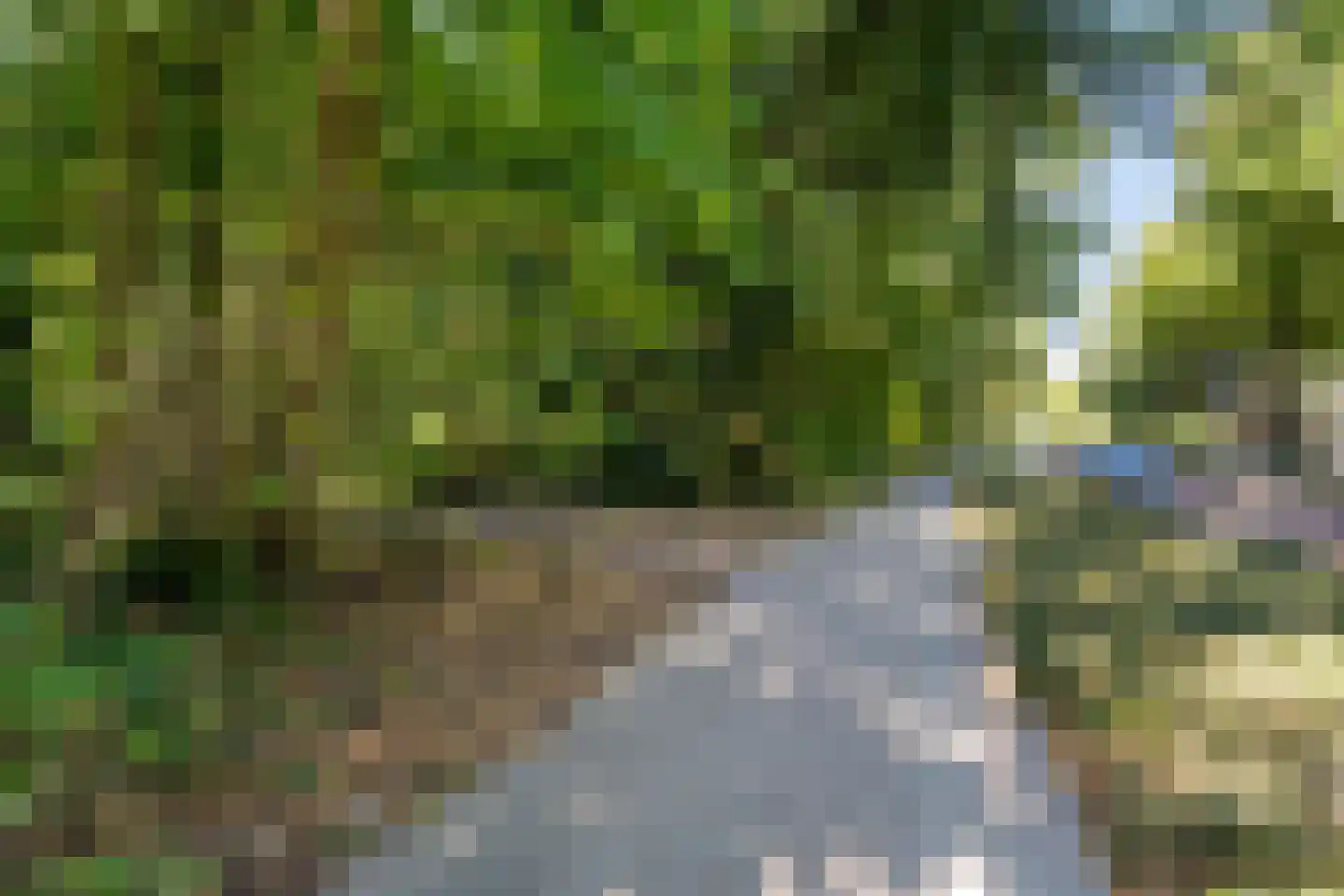 St Plechelmuspad 35 Eindhoven thumbnail 27