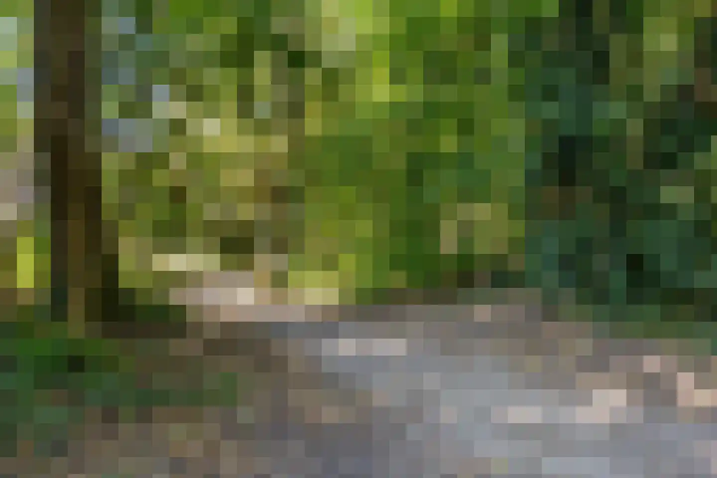St Plechelmuspad 35 Eindhoven thumbnail 28