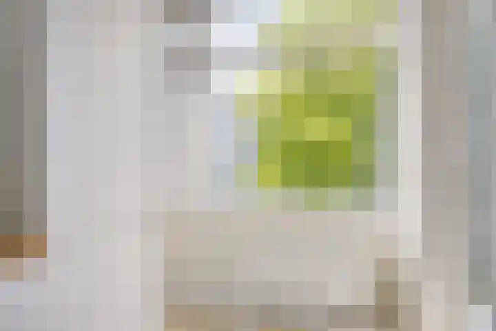 St Plechelmuspad 5 Eindhoven thumbnail 21