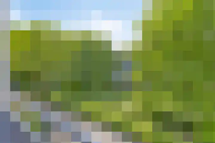 St Plechelmuspad 5 Eindhoven thumbnail 29