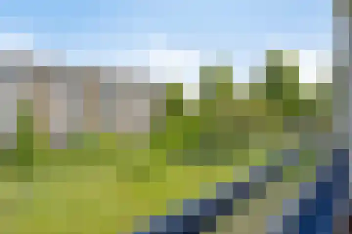 St Plechelmuspad 5 Eindhoven thumbnail 31