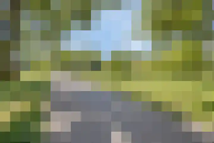 St Plechelmuspad 5 Eindhoven thumbnail 33