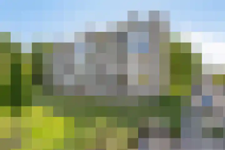 St Plechelmuspad 5 Eindhoven thumbnail 4