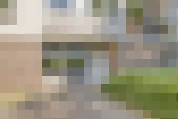St Plechelmuspad 5 Eindhoven thumbnail 7