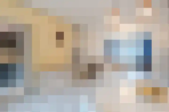 St Plechelmuspad 7 Eindhoven thumbnail 12