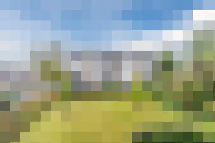 St Plechelmuspad 7 Eindhoven thumbnail 28