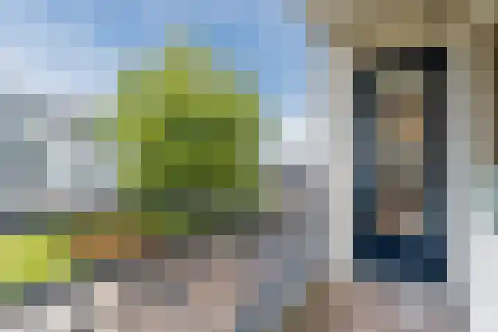 St Plechelmuspad 7 Eindhoven thumbnail 7
