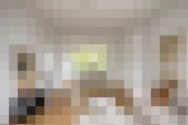 St Plechelmuspad 9 Eindhoven thumbnail 20