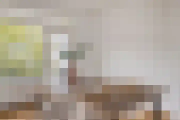 St Plechelmuspad 9 Eindhoven thumbnail 21