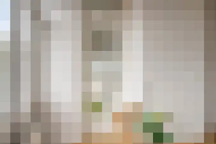 St Plechelmuspad 9 Eindhoven thumbnail 22