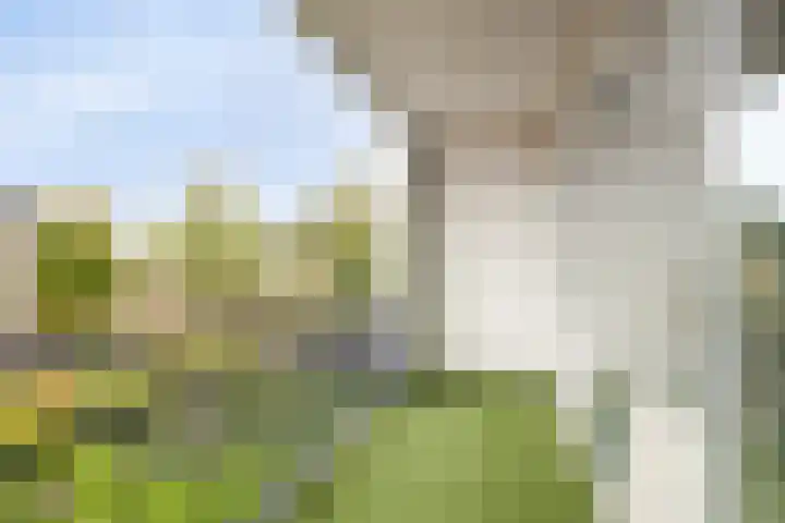 St Plechelmuspad 9 Eindhoven thumbnail 24