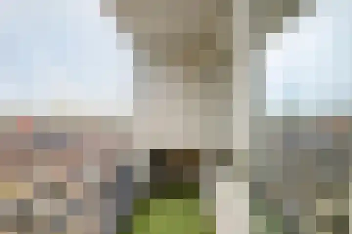 St Plechelmuspad 9 Eindhoven thumbnail 27
