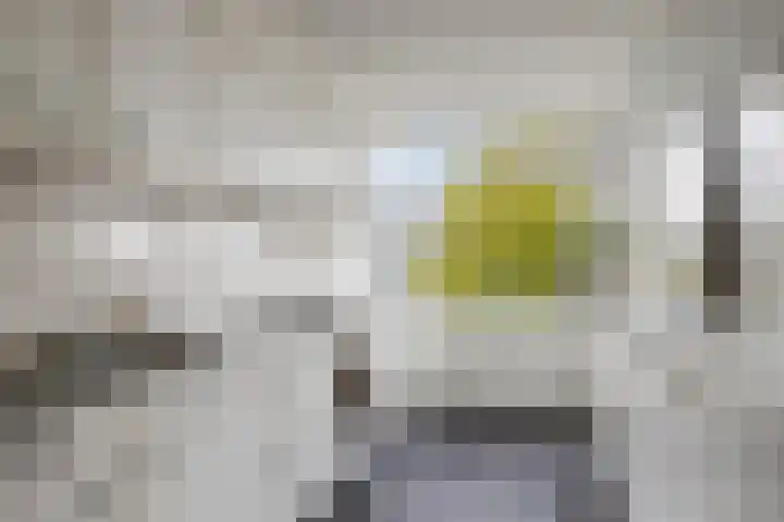 St Plechelmuspad 9 Eindhoven thumbnail 28