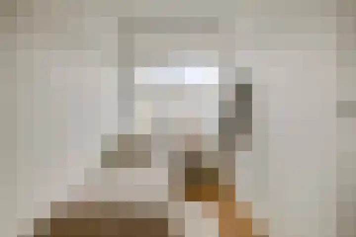 St Plechelmuspad 9 Eindhoven thumbnail 33