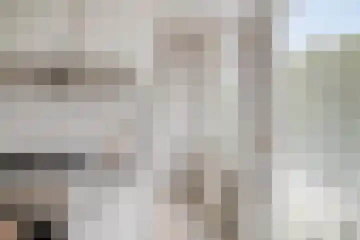 St Plechelmuspad 9 Eindhoven thumbnail 35