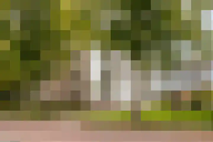 St Plechelmuspad 9 Eindhoven thumbnail 4