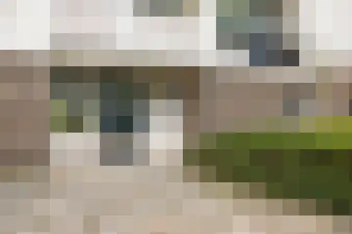 St Plechelmuspad 9 Eindhoven thumbnail 5