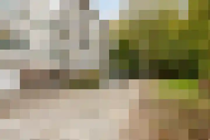 St Plechelmuspad 9 Eindhoven thumbnail 7