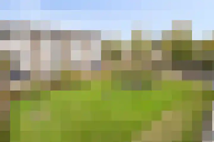 St Plechelmuspad 9 Eindhoven thumbnail 8