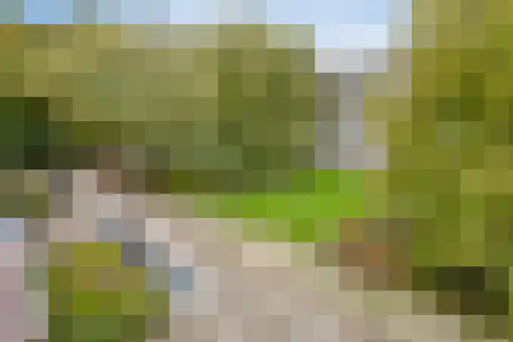 St Plechelmuspad 9 Eindhoven thumbnail 9