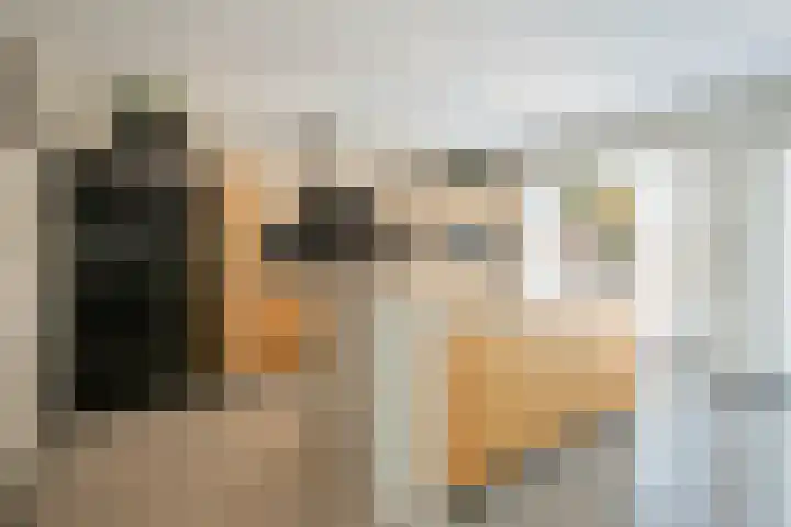 St. Remigiusstraat 15 Simpelveld thumbnail 13