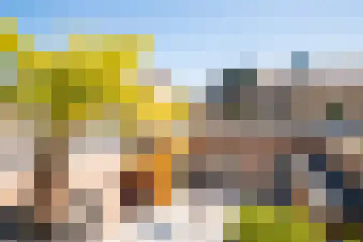 St. Remigiusstraat 15 Simpelveld thumbnail 21