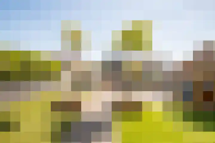 St. Remigiusstraat 15 Simpelveld thumbnail 23