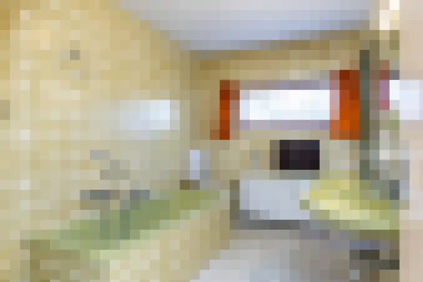 St. Remigiusstraat 36 Simpelveld thumbnail 27