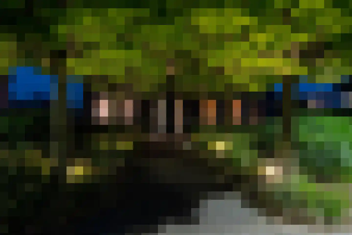 St. Remigiusstraat 45 Schimmert thumbnail 6