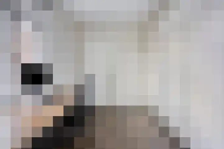 St Rochusstraat 12 Eindhoven thumbnail 19