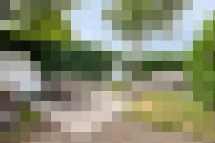 St Rochusstraat 12 Eindhoven thumbnail 27