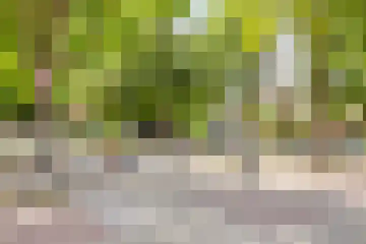 St Rochusstraat 12 Eindhoven thumbnail 30