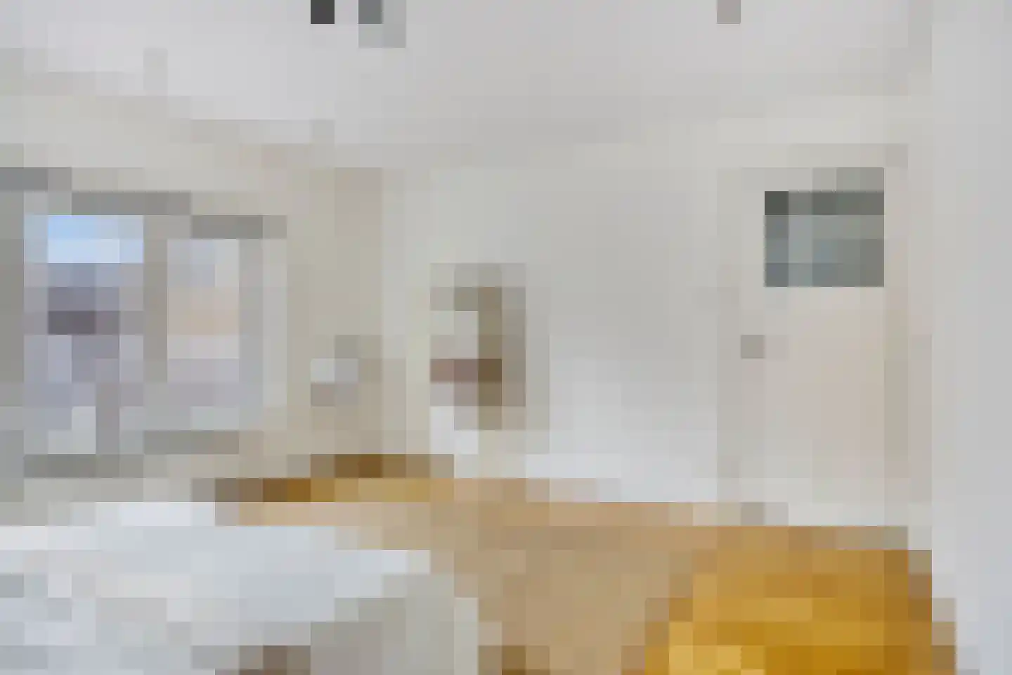 St Rochusstraat 14 Eindhoven thumbnail 31