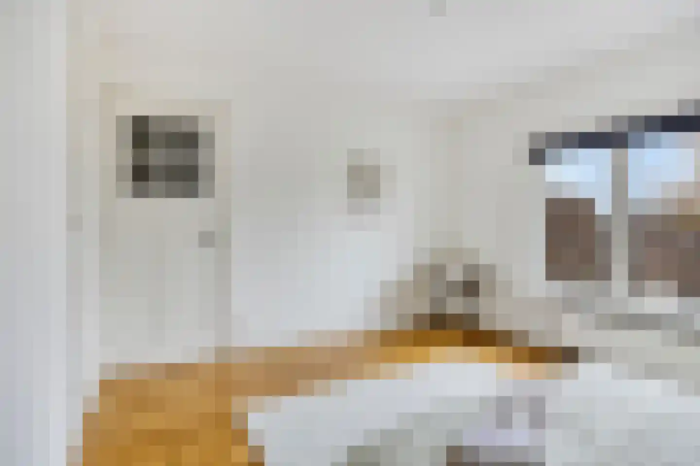 St Rochusstraat 14 Eindhoven thumbnail 36