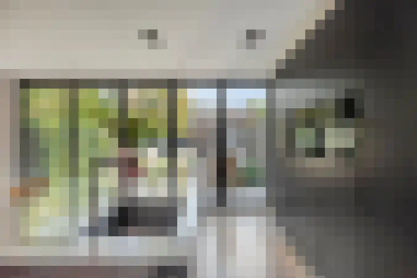 St Rochusstraat 3 Eindhoven thumbnail 23