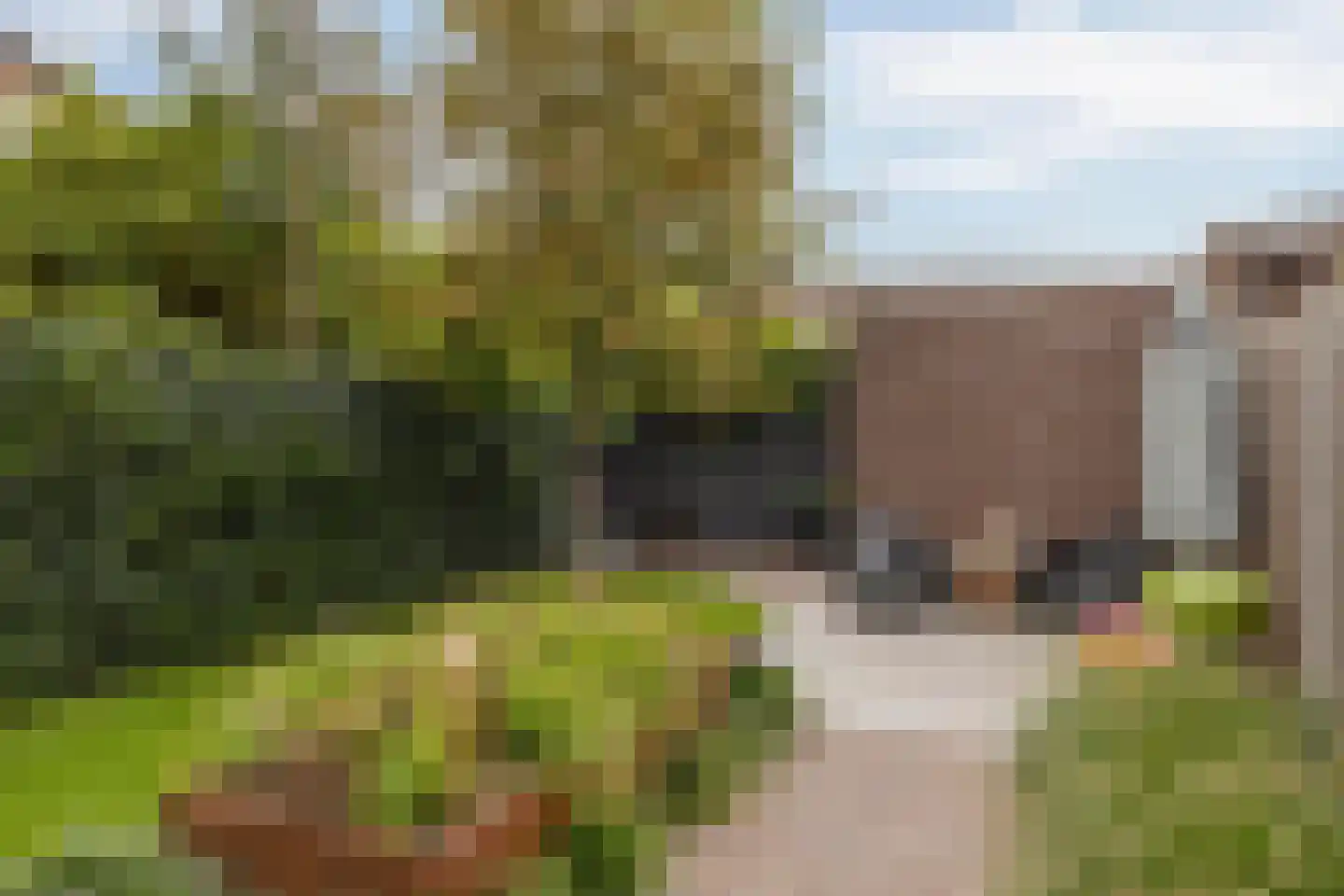 St Rochusstraat 3 Eindhoven thumbnail 46