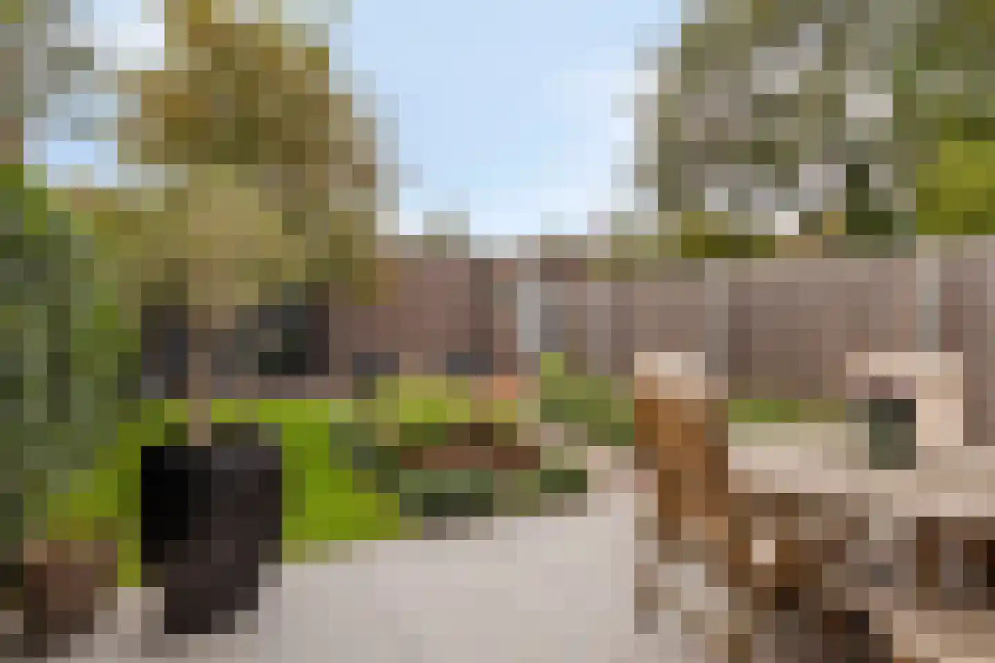 St Rochusstraat 3 Eindhoven thumbnail 7