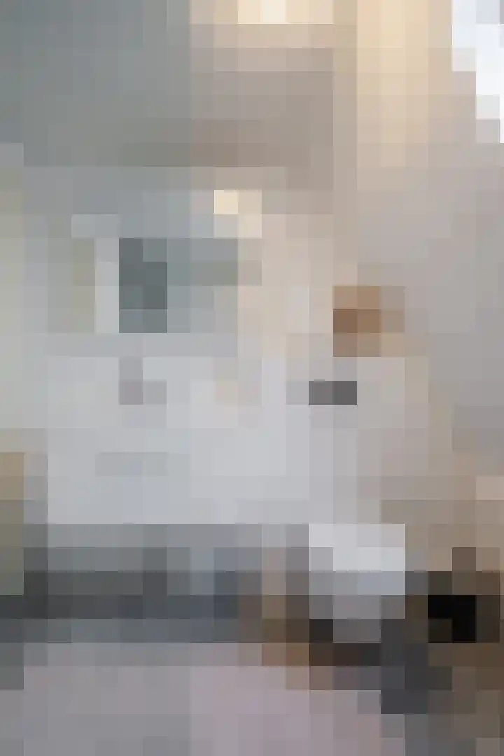 St Rochusstraat 39 Eindhoven thumbnail 33