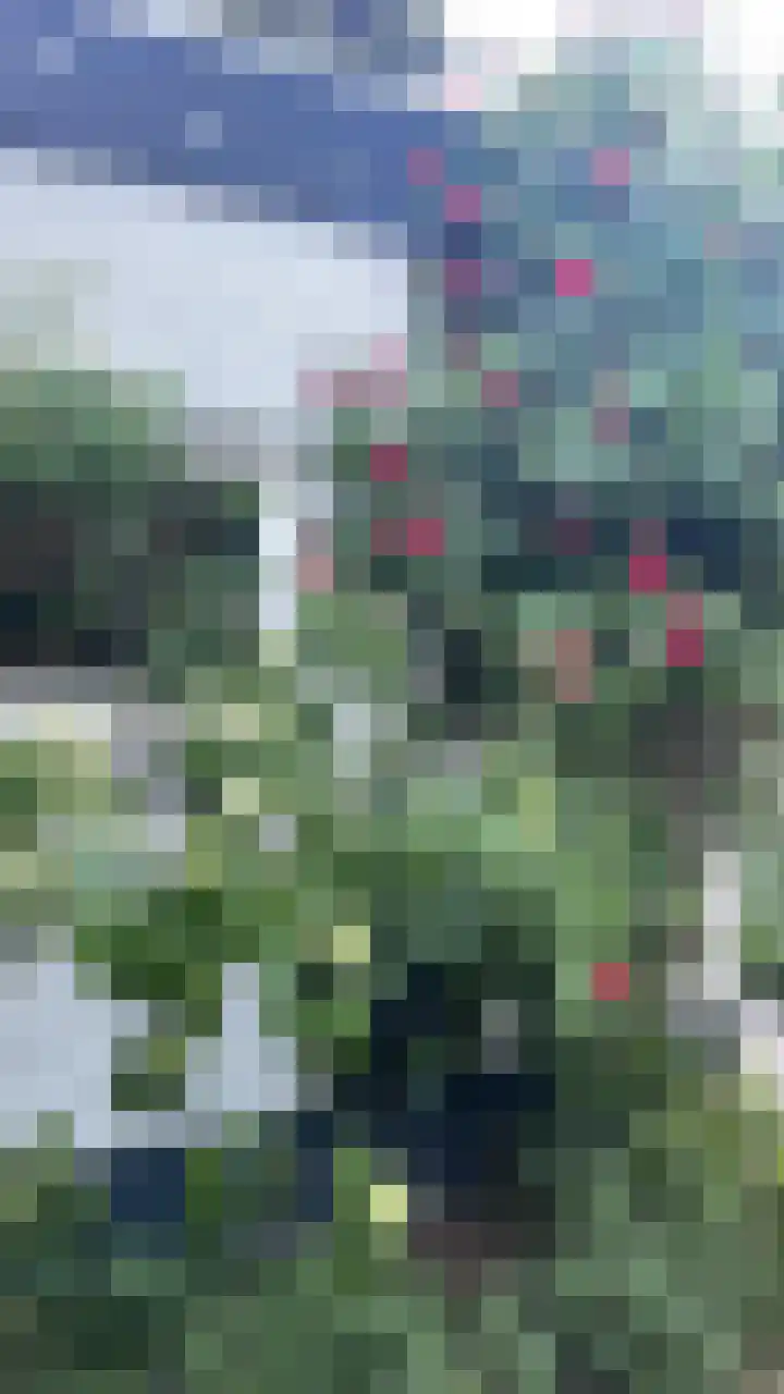 St Rochusstraat 39 Eindhoven thumbnail 44