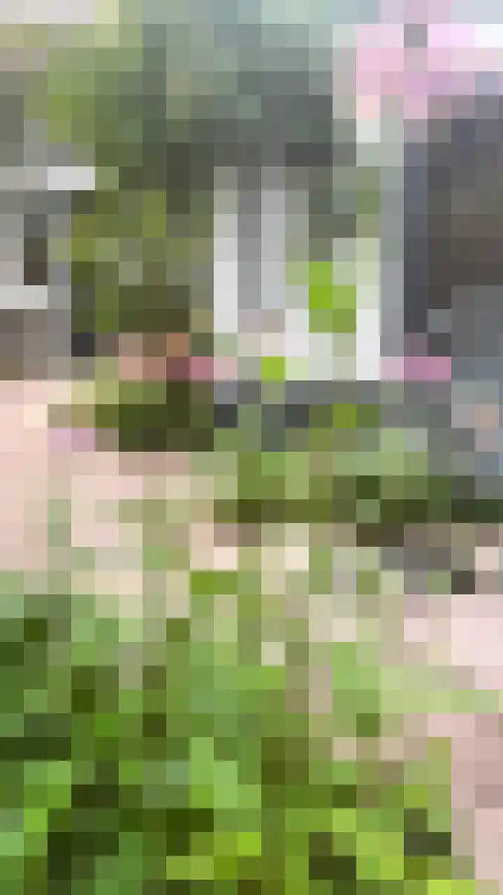 St Rochusstraat 39 Eindhoven thumbnail 47