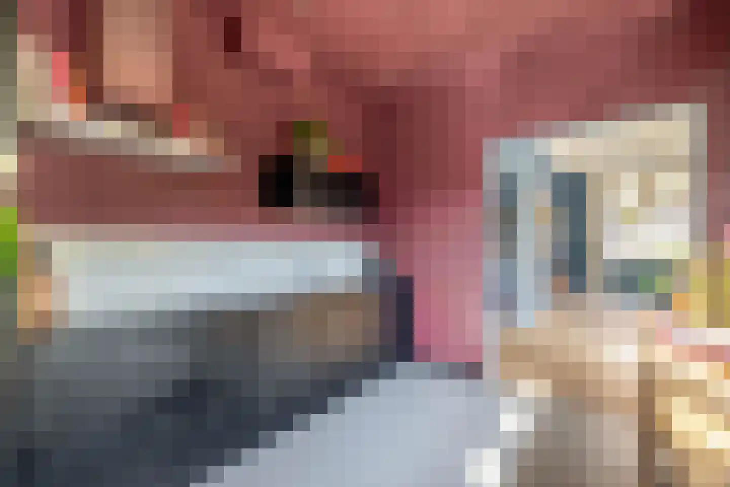 St Rochusstraat 51 Eindhoven thumbnail 18