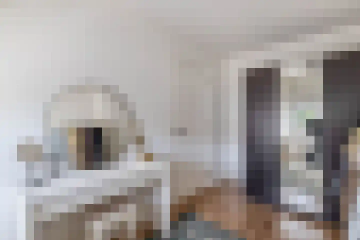 St Rochusstraat 51 Eindhoven thumbnail 25