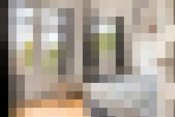 St Rochusstraat 52 Eindhoven thumbnail 22