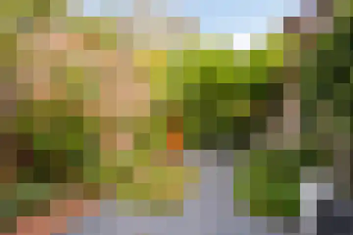 St Rochusstraat 52 Eindhoven thumbnail 5