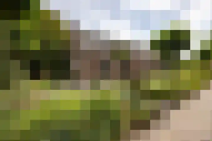 St. Sebastiaanshoek 3 Oost West en Middelbeers thumbnail 30