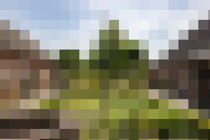 St. Sebastiaanshoek 3 Oost West en Middelbeers thumbnail 31