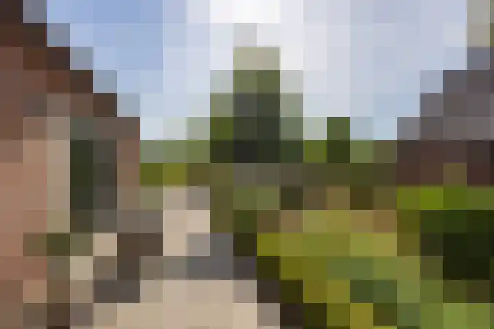 St. Sebastiaanshoek 3 Oost West en Middelbeers thumbnail 32