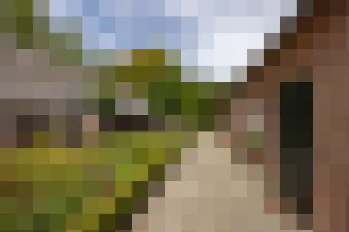 St. Sebastiaanshoek 3 Oost West en Middelbeers thumbnail 34