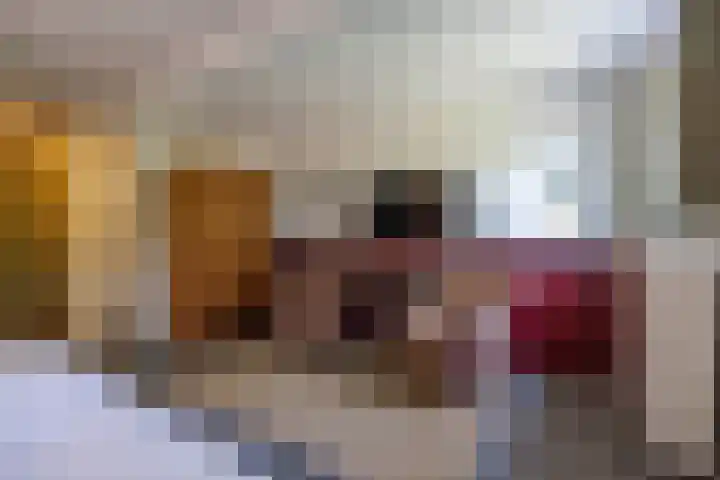 St. Sebastiaanshoek 3 Oost West en Middelbeers thumbnail 38