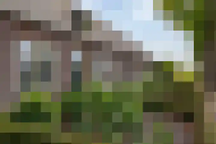 St. Sebastiaanshoek 3 Oost West en Middelbeers thumbnail 4